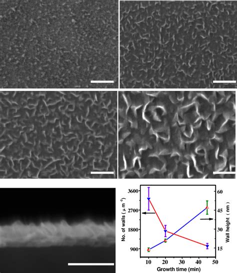 Figure 2 from Evolution and defect analysis of vertical graphene nanosheets | Semantic Scholar