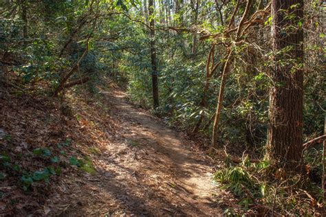 Hiking Works along South Carolina Trails – Cocoa Smiles