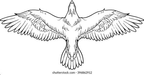 4,857 Bird Illustration Top View Images, Stock Photos & Vectors | Shutterstock