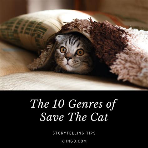 The 10 Genres of Save The Cat | Genres, Mystery genre, Cats