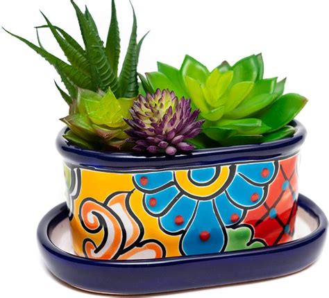 What Is A Dish Garden? Practical & Easy Succulent Dish Garden Ideas