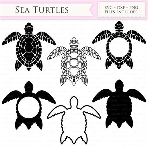 Sea Turtle SVG Files and Monogram By SVGArtStore | TheHungryJPEG