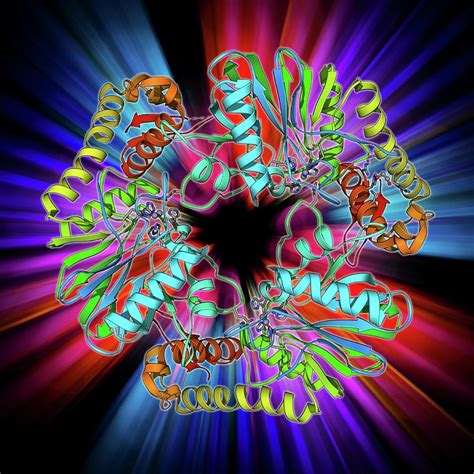 Beta-lactamase-like Protein 2 Molecule Photograph by Laguna Design - Fine Art America