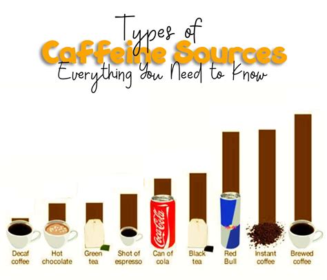 Types of Caffeine Sources: Everything You Need to Know