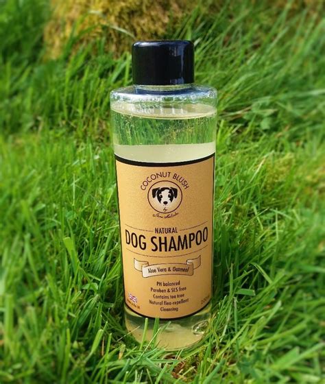 Handmade Natural Dog Shampoo - Aloe Vera And Oatmeal - 200ml - On The Ball Walkies