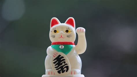 Japanese Lucky Cat Wallpaper (48+ images)