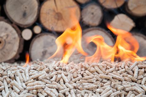 Is Biomass Renewable? - Clean Energy Ideas