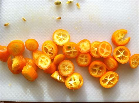 5 Kumquat "Meiwa" Seeds-1180A - Tree Seeds