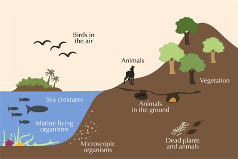 Which spaces of the earth are part of the biosphere? | Socratic