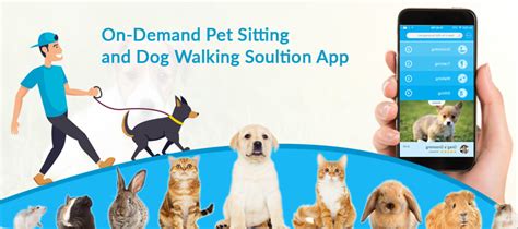 How to Create On-Demand Dog Walking App like Rover and Wag