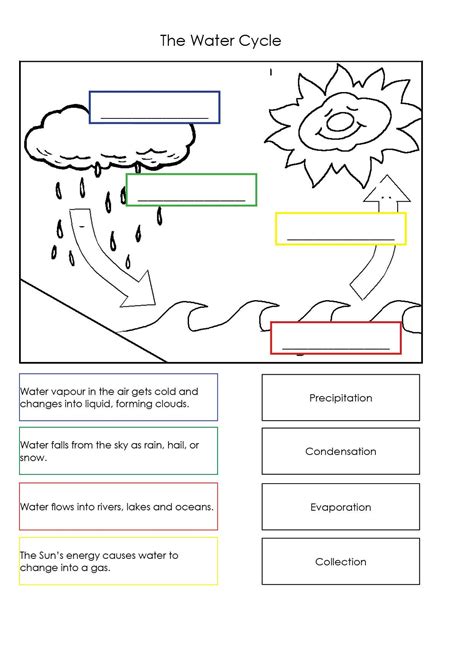 Water Cycle Worksheet Middle School 28 [ Worksheets Water ] | Water ...