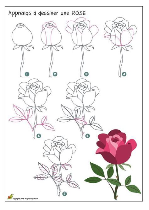 طريقة رسم وردة خطوة بخطوة للمبتدئين | Roses drawing, Flower drawing, Flower drawing tutorials