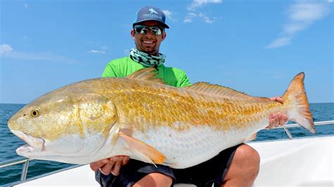 Found Over 10,000 MASSIVE Redfish!! - Camping