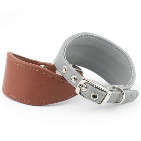 soft leather italian greyhound collar by petiquette collars | notonthehighstreet.com