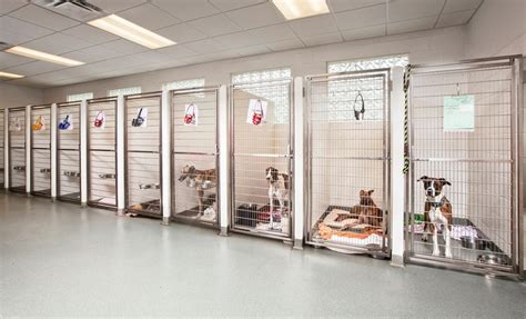 Kennel | Hospital Design | Indoor dog kennel, Dog hotel, Cheap dog kennels