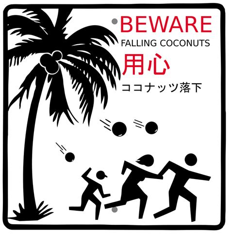 Death by coconut - Wikipedia