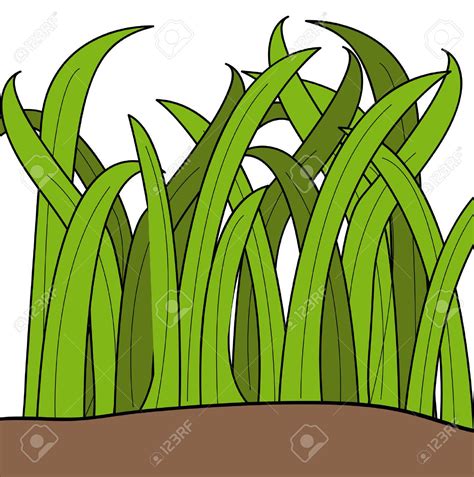 tall grass clipart - Google Search Cartoon Grass, Bug Cartoon, Cartoon Drawings, Grass Clipart ...