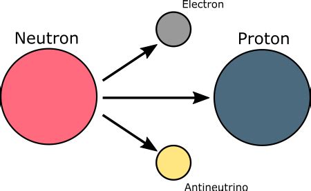 Weak Nuclear Force Examples