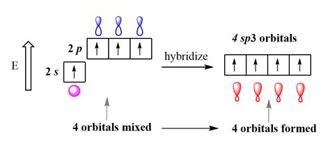 Hybridization Diagram