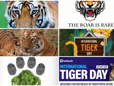 Tiger Habitat Loss | Adgully.com