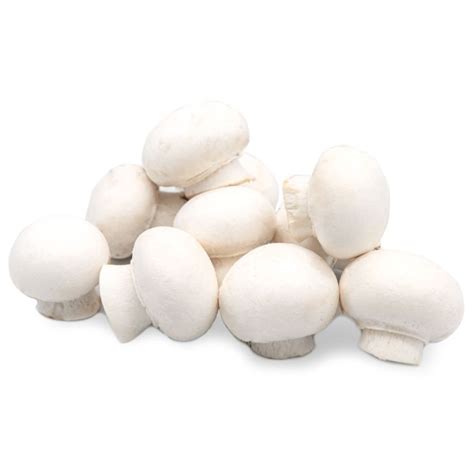 Buy Button Mushrooms-1x2.5kg - Order Online From JJ Foodservice