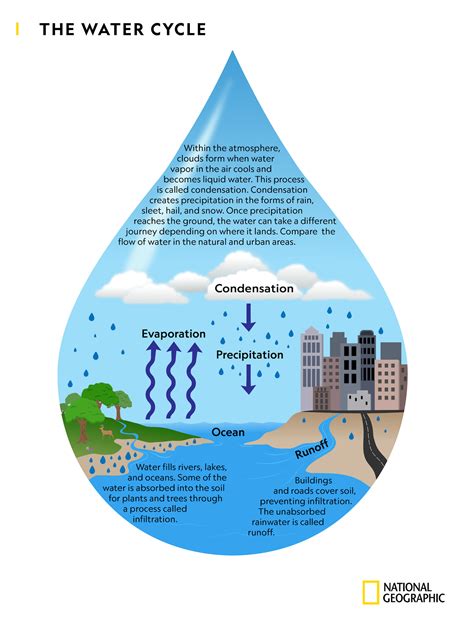 Investigating the Water Cycle