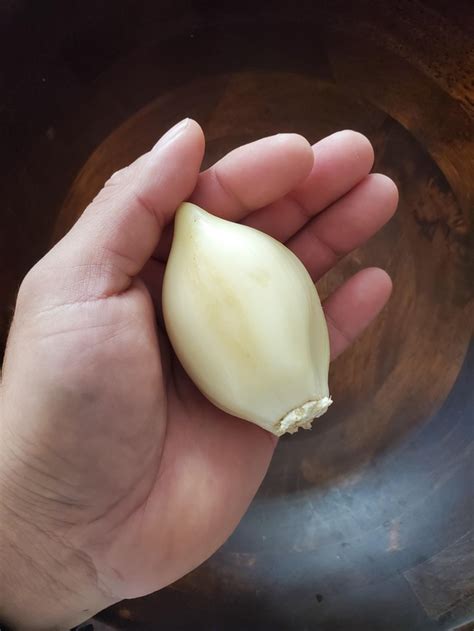 Recipe calls for one garlic clove - Meme Guy