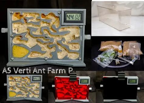 Ant Farm Kit with Plaster and Thermometer