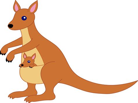 Baby Kangaroo Clipart - Free Download | Cute Kangaroo Images