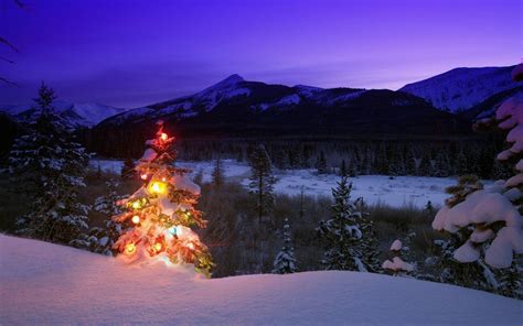 Christmas Tree Landscape Wallpapers - Wallpaper Cave