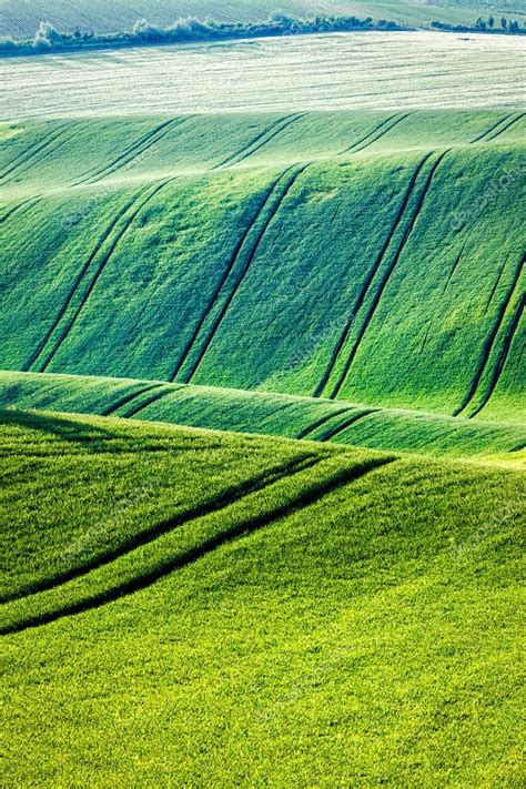 Rolling landscape of South Moravia — Stock Photo © DmitryRukhlenko ...