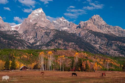 Welcome to Grand Teton National Park