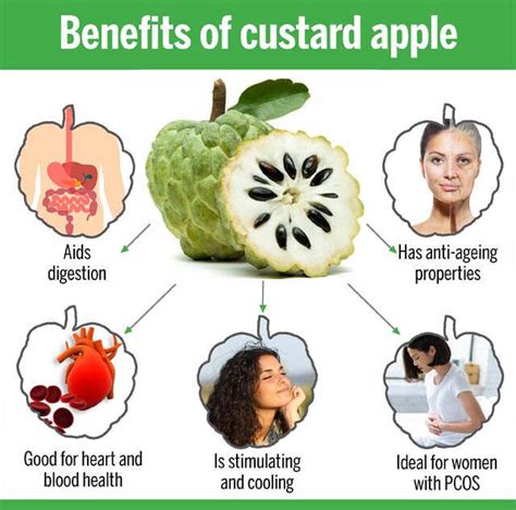 Benefits Of Custard Apple | Femina.in