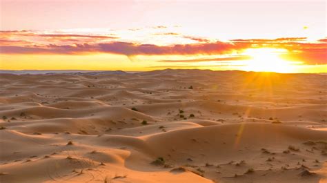 Hace miles de años el desierto del Sahara era un bosque