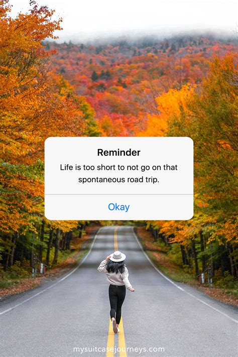 100 Road Trip Quotes to Inspire Your Next Adventure