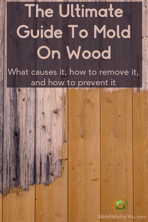 What Kills Mold On Wood? | Mold Help For You