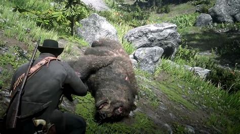 What to do with legendary bear pelt in Red Dead Redemption 2 | Shacknews