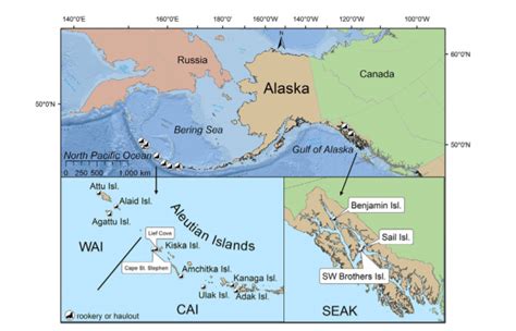 Mixing it up in Alaska: Adult Female Steller Sea Lion Habitat Use Reveals a Variety of Foraging ...