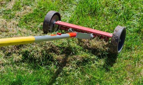 What To Do After Scarifying Your Lawn (Simple Guide)