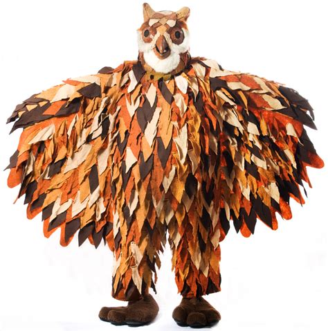 Owl Costumes (for Men, Women, Kids) | PartiesCostume.com