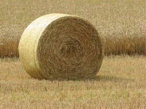 Round hay bale | Round hay bale | Kajrov | Flickr