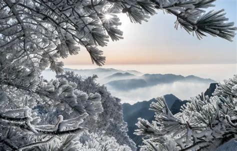 Wallpaper winter, frost, mountains, branches, China, China, pine, Huangshan Mountains, Huangshan ...