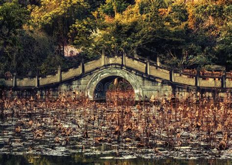 Culture Park, Chengdu, China Stock Image - Image of asian, decoration: 142960283