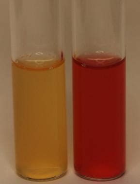 Methyl Red (MR) Test: Principle, Procedure, Results • Microbe Online