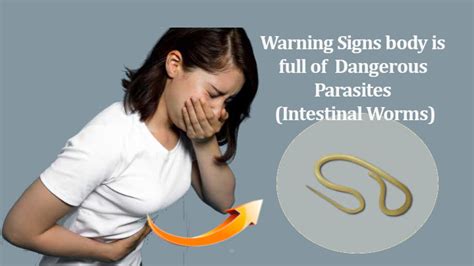 Your Body Is Full Of Dangerous Parasites (intestinal Worms) - Health ...