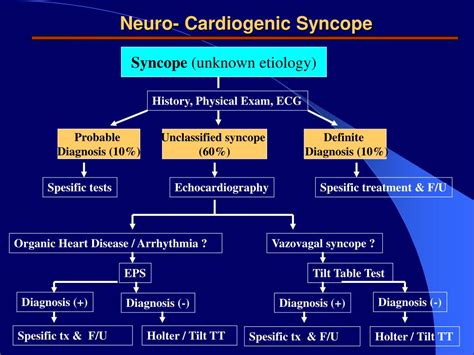 PPT - SYNCOPE PowerPoint Presentation, free download - ID:2683488