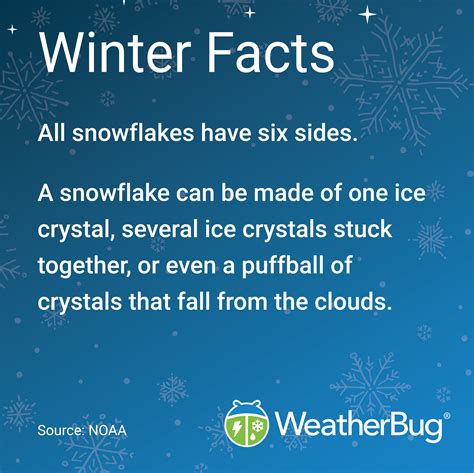 Winter Facts - Snowflakes | National weather, Learn facts, Weather forecast