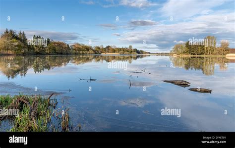 Forfar Loch Angus Scotland on a bright frosty morning Stock Photo - Alamy