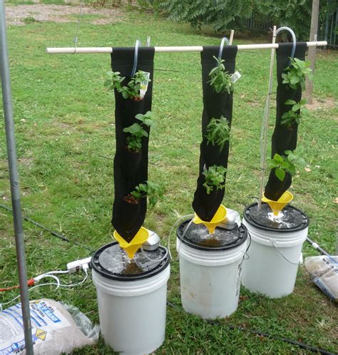 Pin by Lucy on Hydroponics | Hydroponics diy, Hydroponic gardening, Diy ...