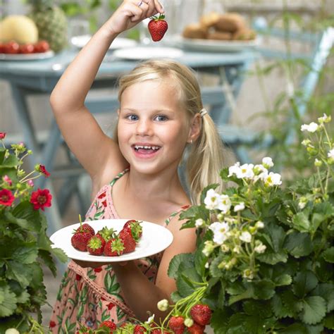 Summer Breeze Snow - National Garden Bureau | Vegetable garden for ...